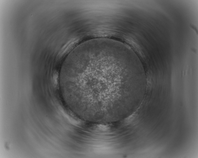 X0000099450166200805161031