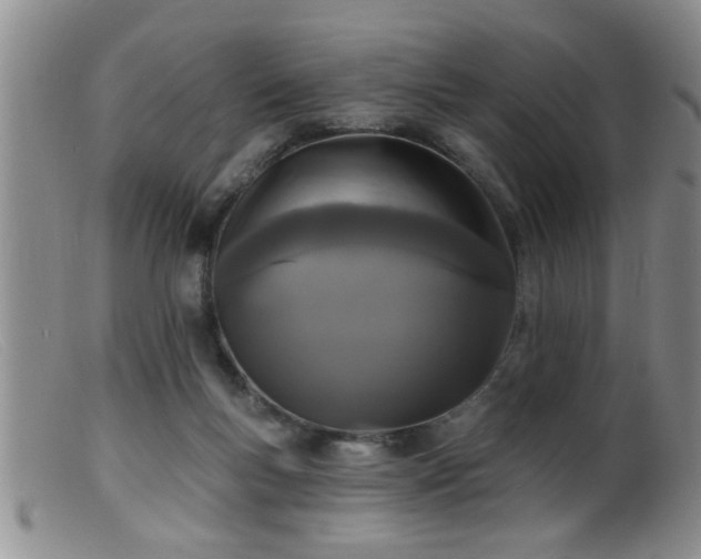 X0000099450167200805161031