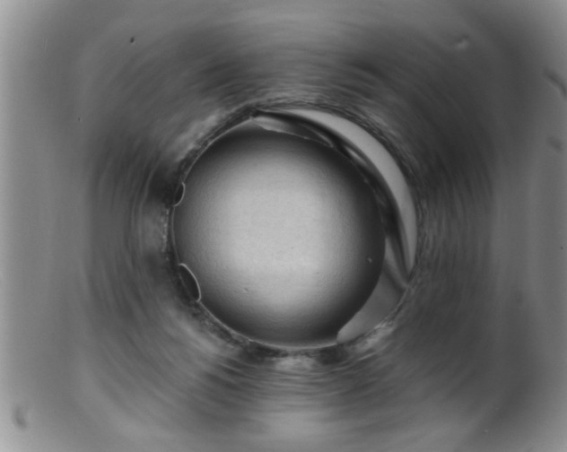 X0000099450168200805161031