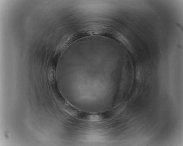 X0000099450169200805161031