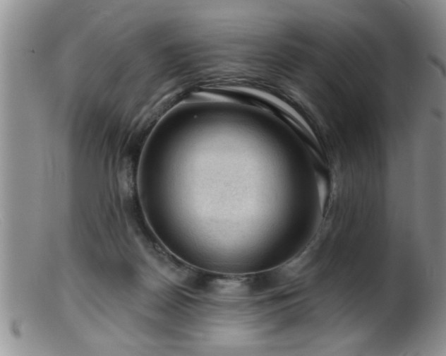 X0000099450170200805161031