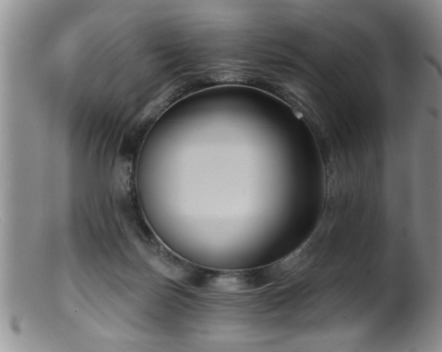 X0000099450171200805161031