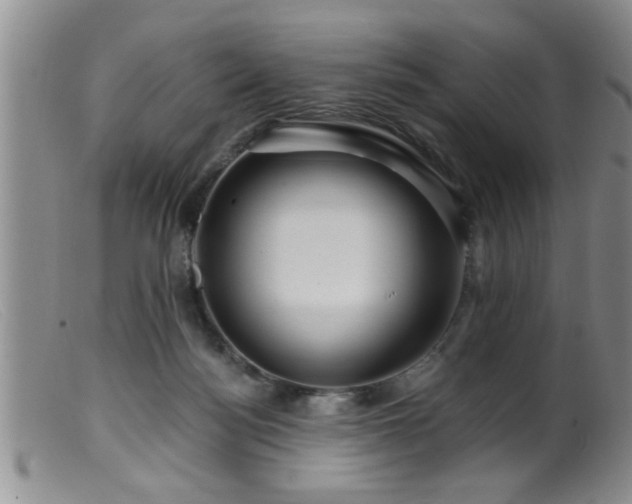 X0000099450172200805161031