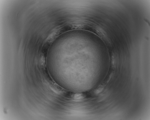 X0000099450173200805161031