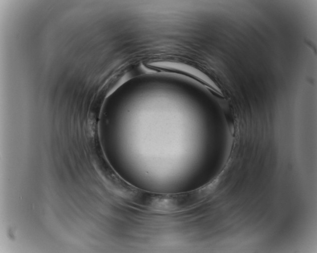 X0000099450174200805161031