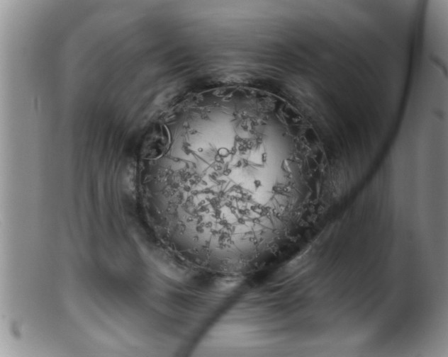 X0000099450175200805161031