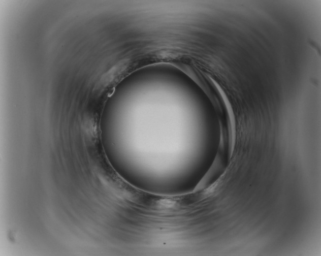 X0000099450176200805161031