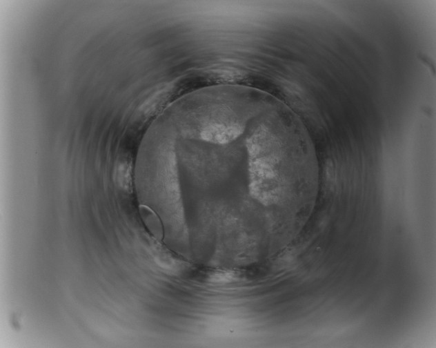 X0000099450177200805161031