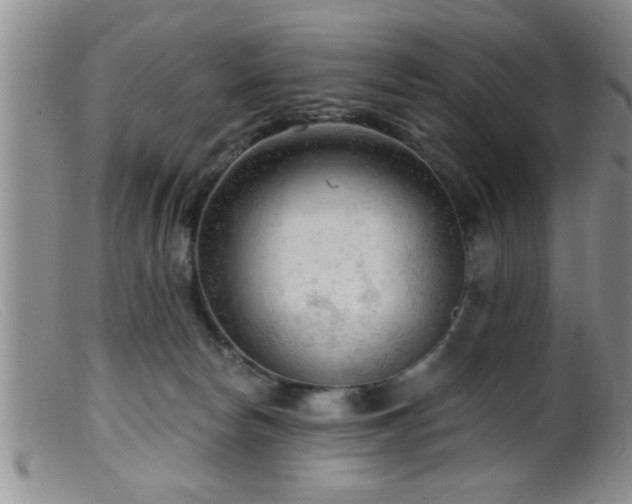 X0000099450178200805161031