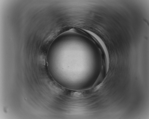 X0000099450180200805161031