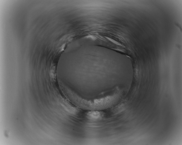 X0000099450181200805161031