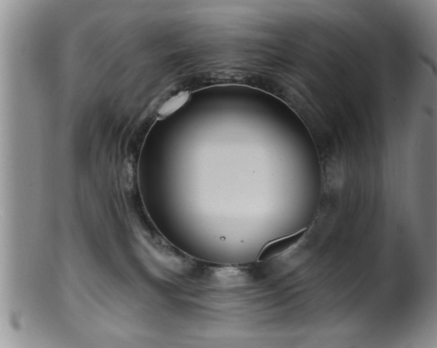 X0000099450183200805161031