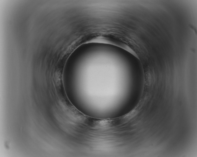 X0000099450184200805161031