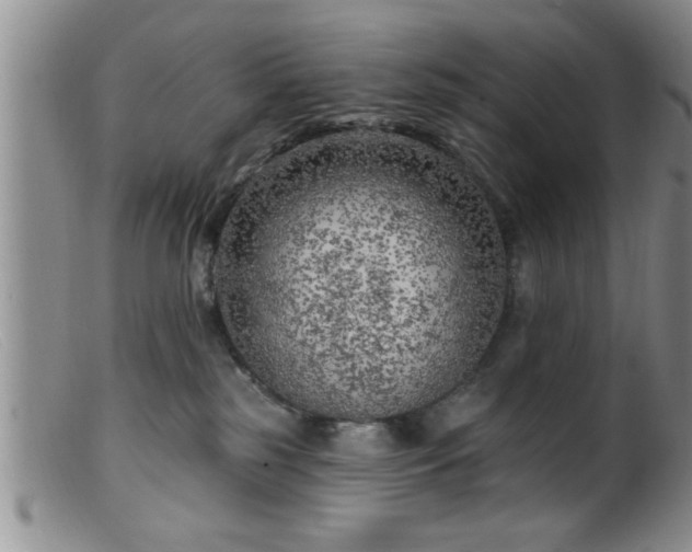 X0000099450185200805161031