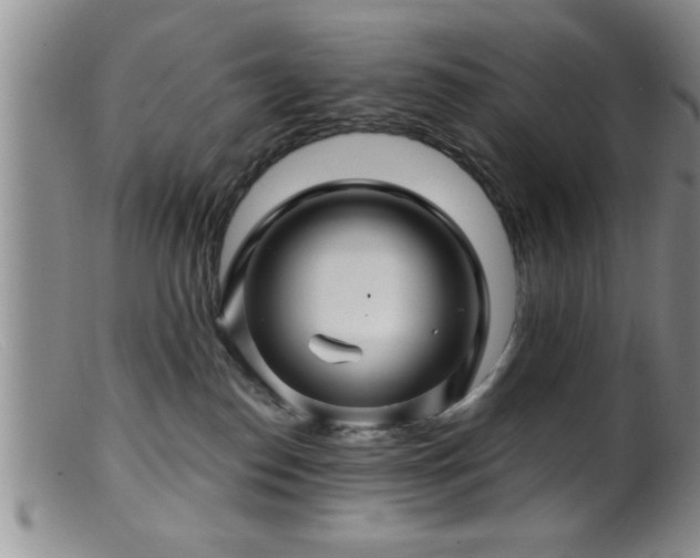 X0000099450186200805161031