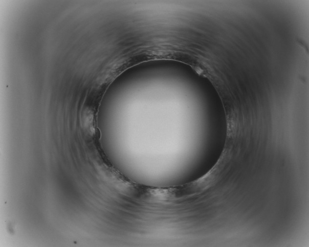 X0000099450187200805161031