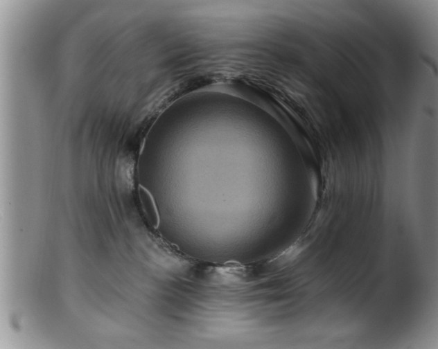 X0000099450188200805161031