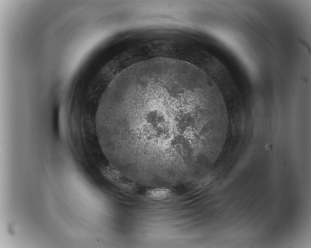 X0000099450189200805161031