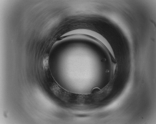 X0000099450190200805161031