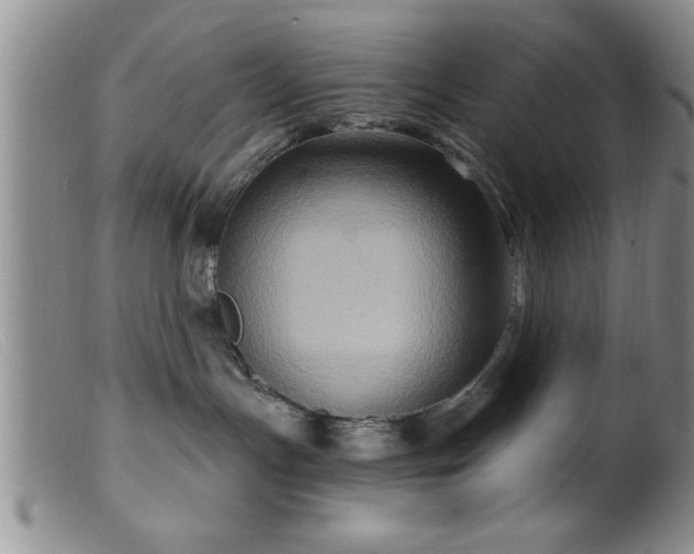 X0000099450191200805161031