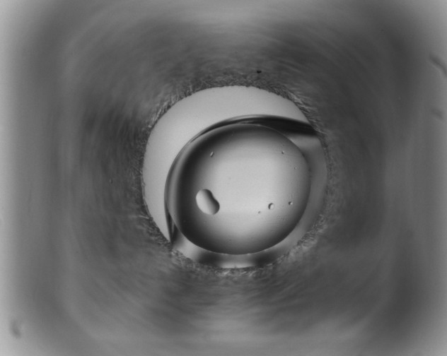 X0000099450192200805161031