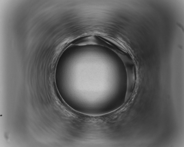 X0000099450193200805161030