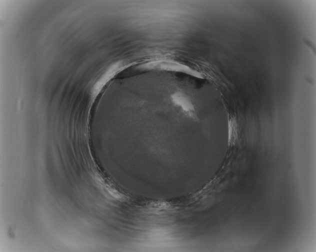 X0000099450195200805161030