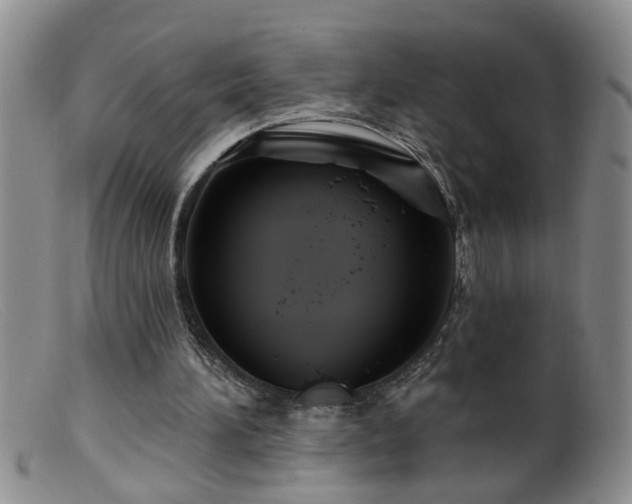 X0000099450196200805161030