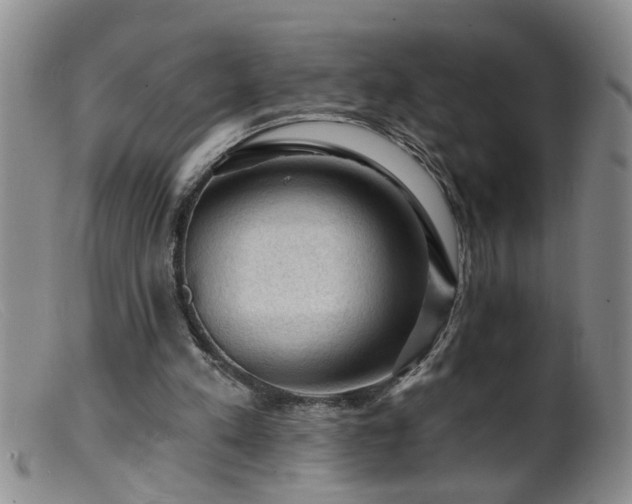 X0000099450197200805161030