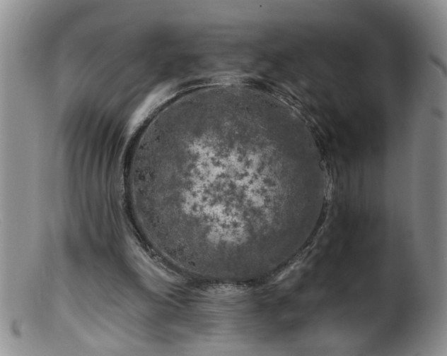 X0000099450198200805161030