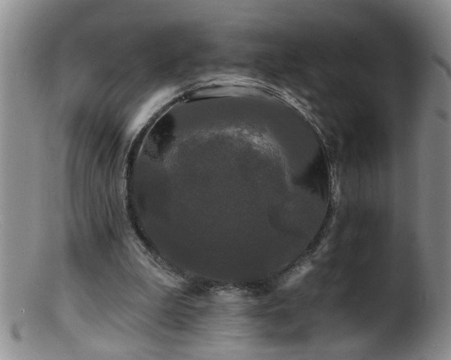 X0000099450199200805161030