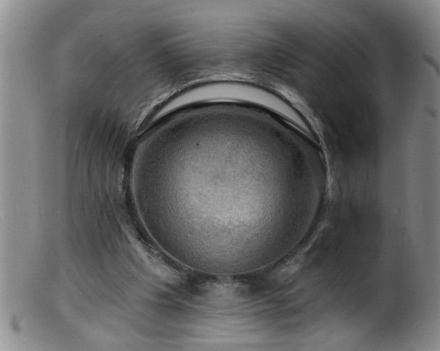 X0000099450201200805161030