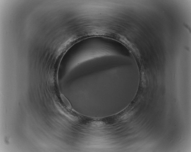 X0000099450203200805161030