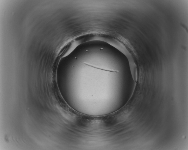 X0000099450204200805161030