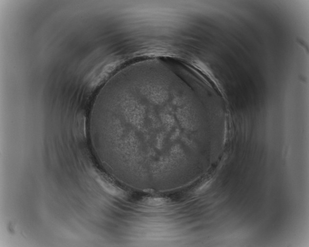 X0000099450205200805161030