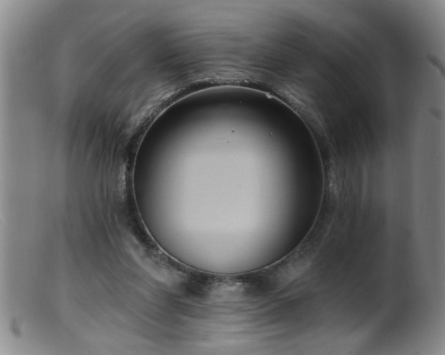 X0000099450206200805161030