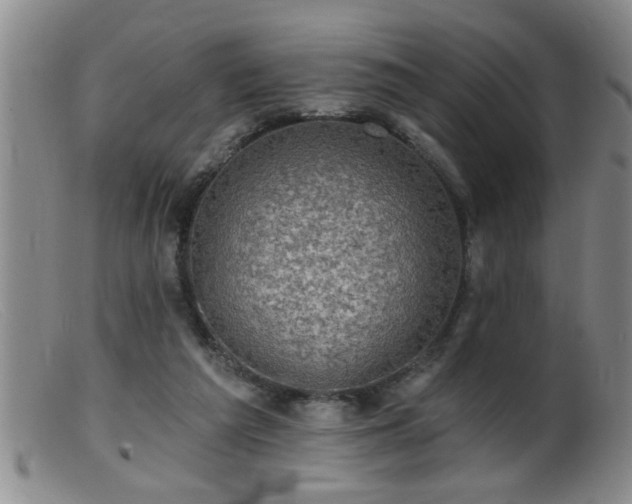 X0000099450209200805161030