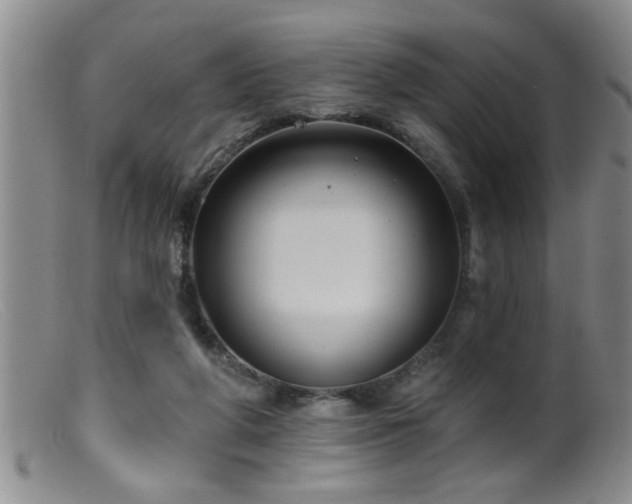 X0000099450210200805161030