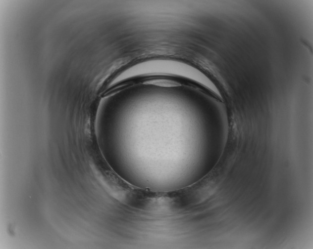 X0000099450212200805161030