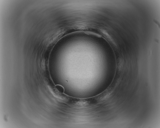 X0000099450213200805161030