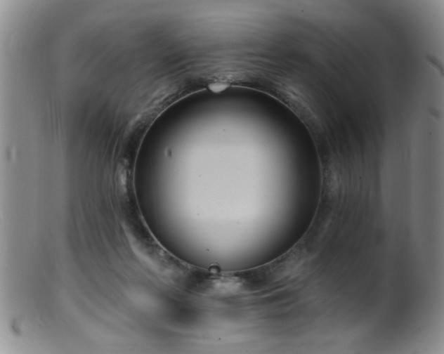 X0000099450214200805161030