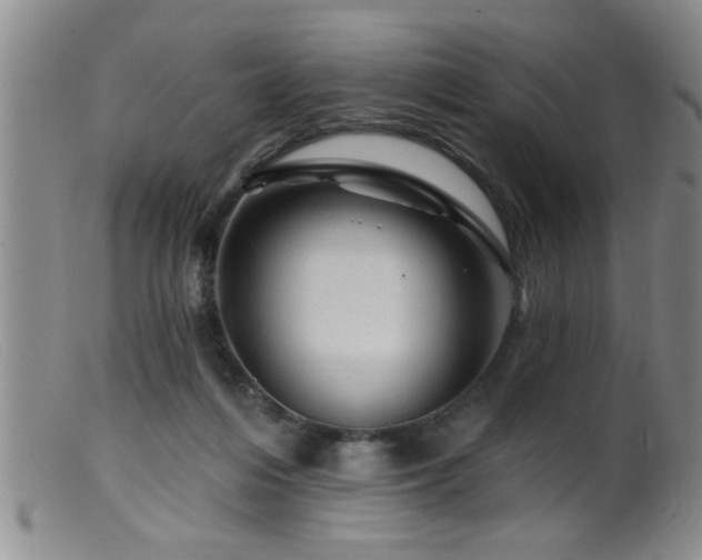 X0000099450216200805161030