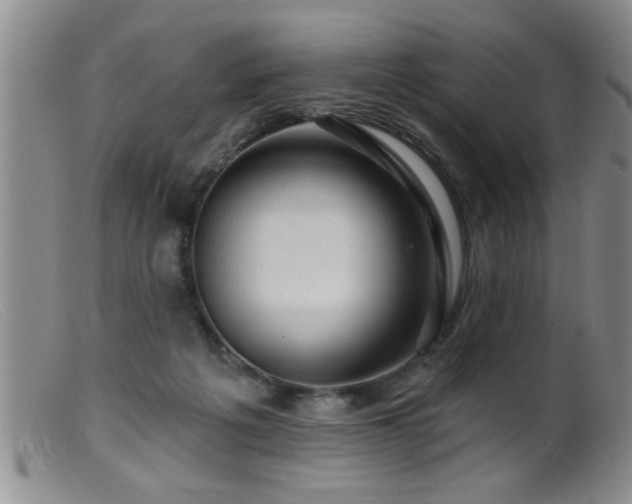 X0000099450217200805161030