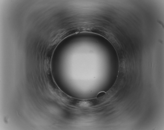 X0000099450218200805161030