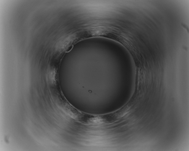 X0000099450219200805161030