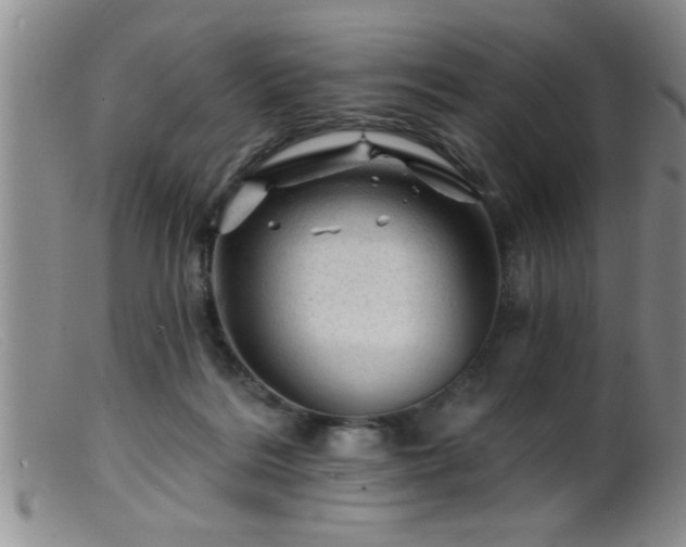 X0000099450220200805161030