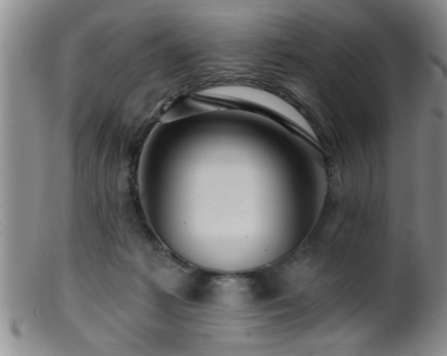 X0000099450221200805161030