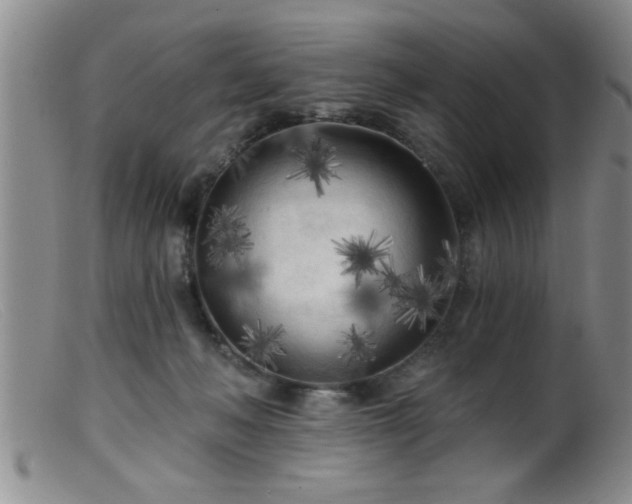 X0000099450222200805161030
