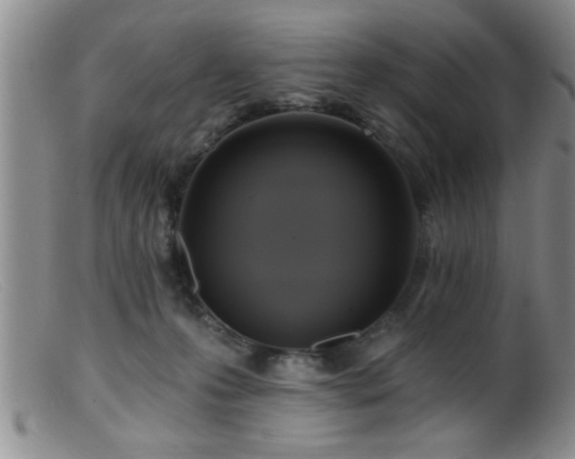 X0000099450223200805161030