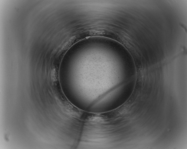 X0000099450224200805161030